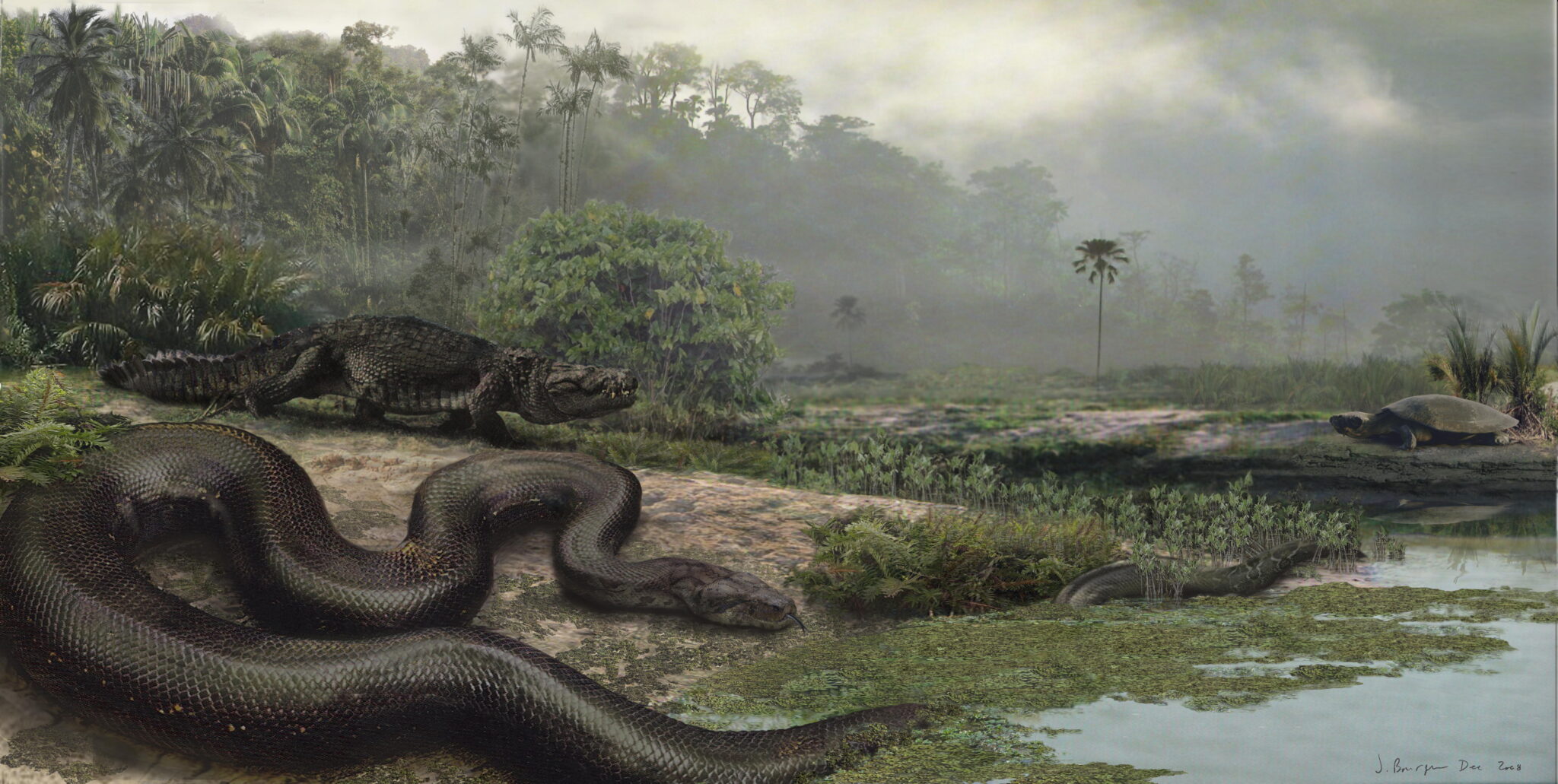 Titanoboa-3-scaled.jpg